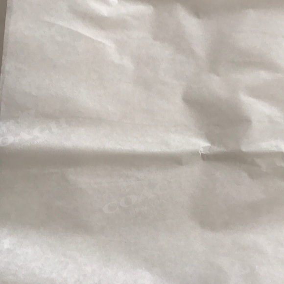 Women’s Coach Gift Bag with tissue Size Large New - Picture 3 of 6